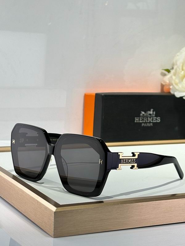 Hermes Glasses smr (85)