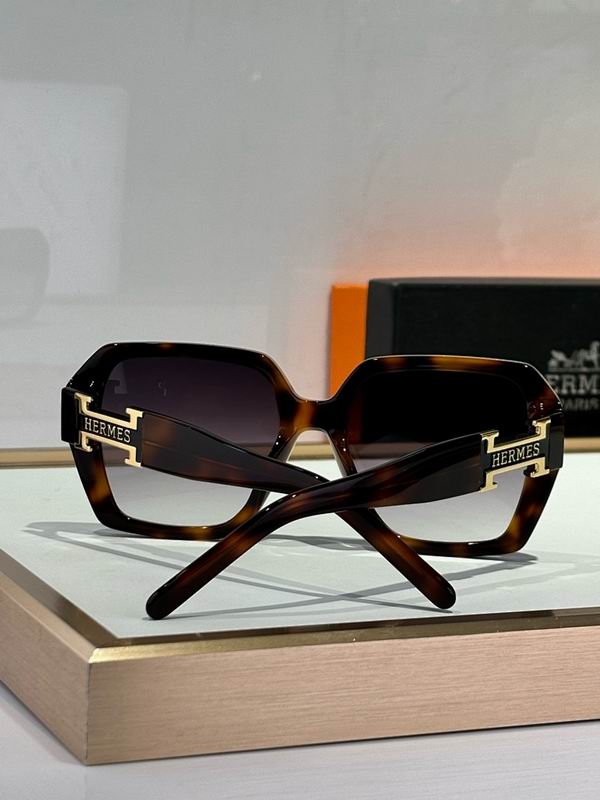 Hermes Glasses smr (90)