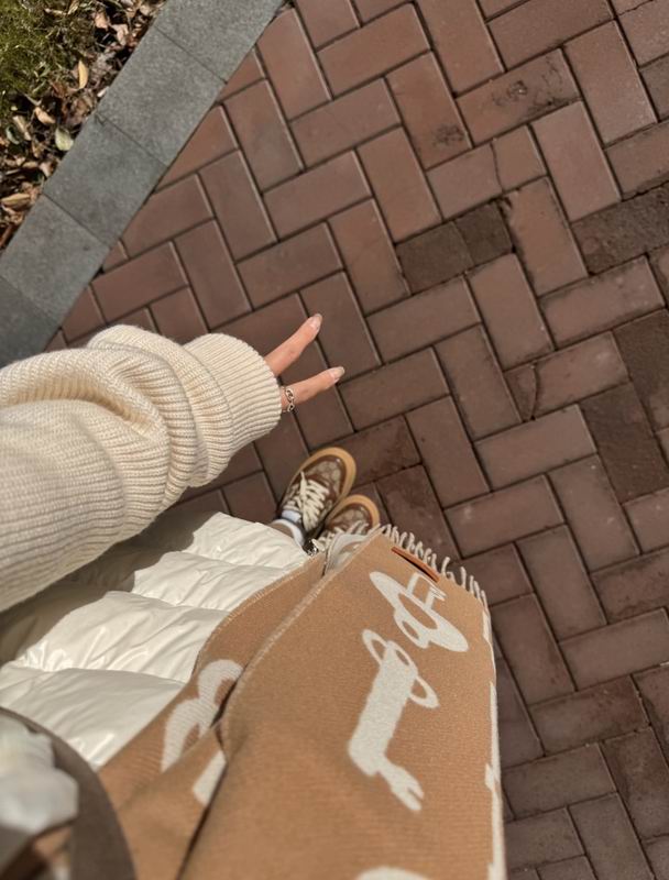 Hermes scarf 32X180cm E11 (18)