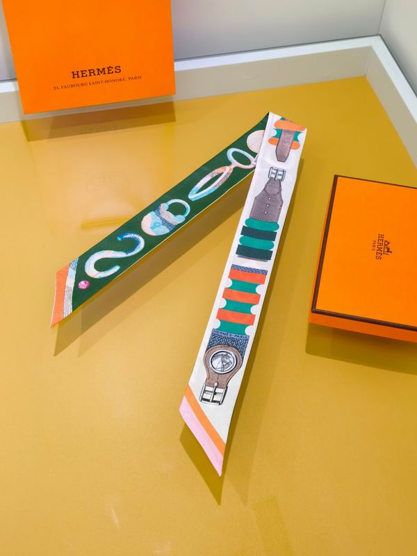 Hermes silk ribbon 5X86cm E02 (16)