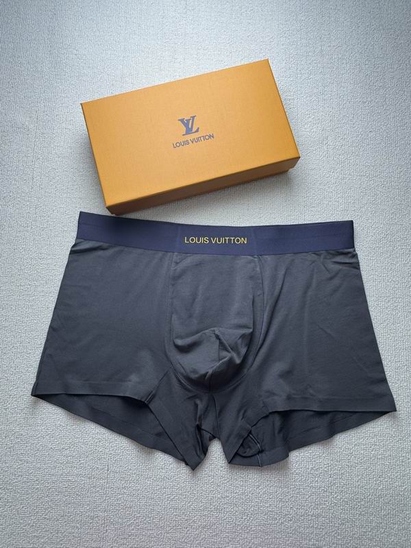 LV boxer L-4XL 20 (8)