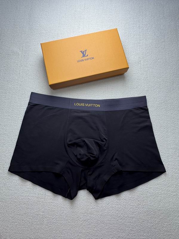 LV boxer L-4XL 20 (9)