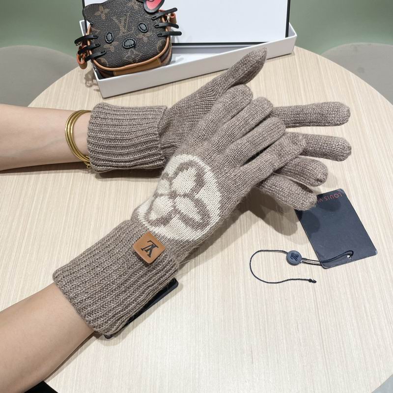 LV gloves 19 (19)