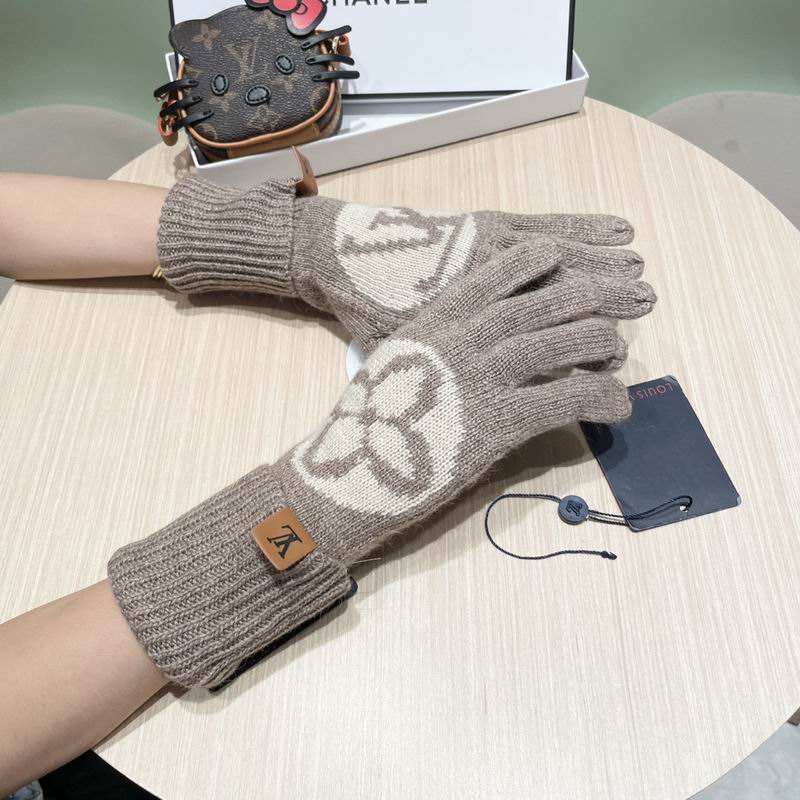 LV gloves 19 (20)