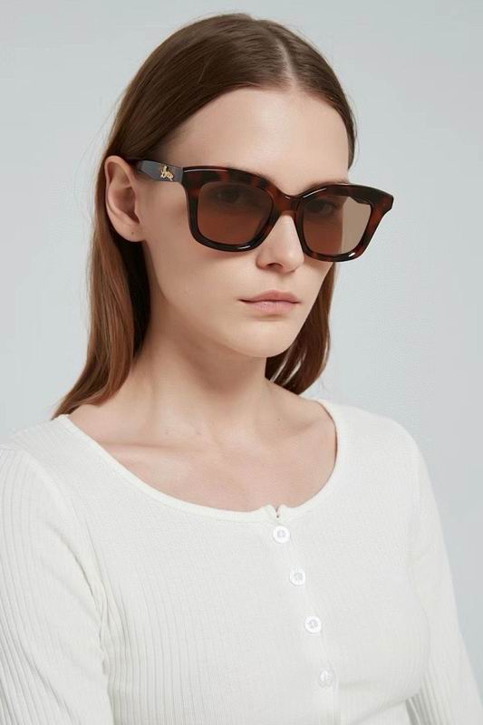 Loewe Glasses smr (216)