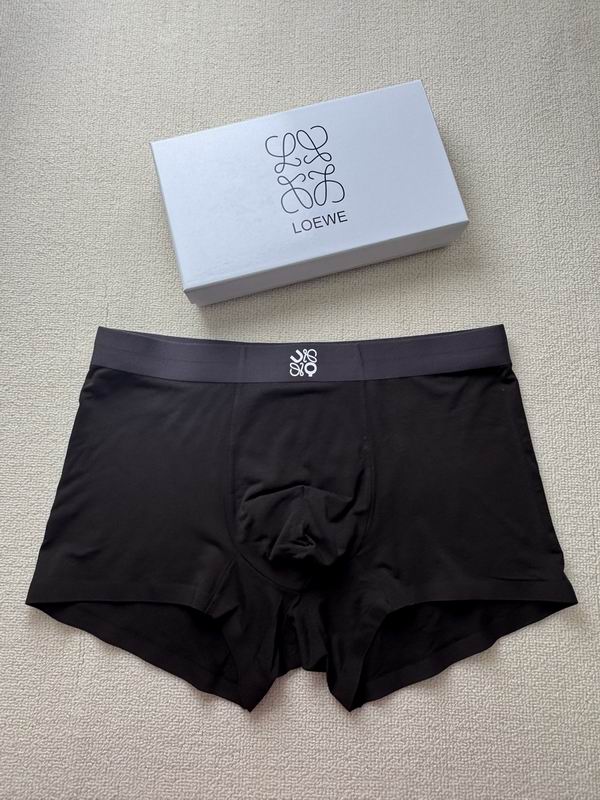 Loewe boxer L -3XL 06 (1)