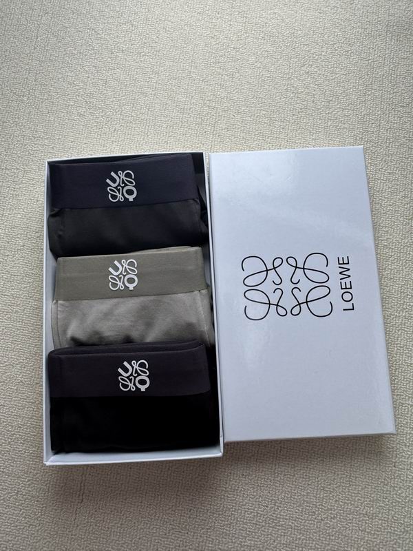 Loewe boxer L-4XL 21 (1)