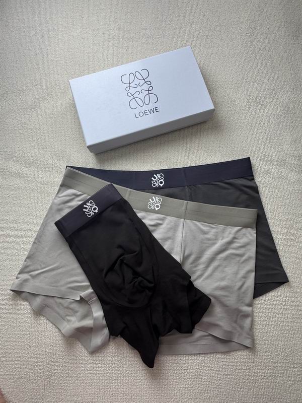Loewe boxer L-4XL 21 (4)