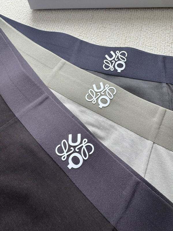 Loewe boxer L-4XL 21 (5)