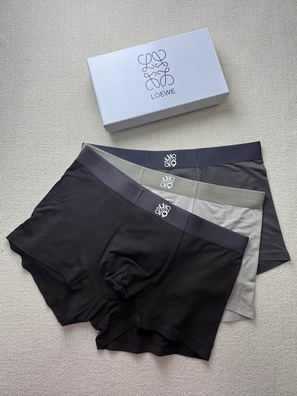Loewe boxer L-4XL 21 (6)