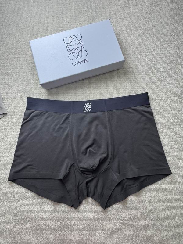 Loewe boxer L-4XL 21 (7)