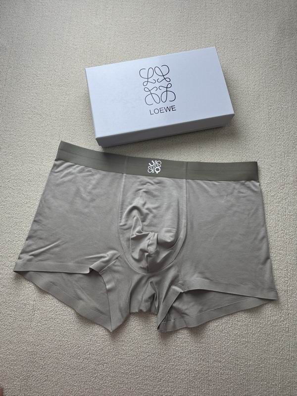 Loewe boxer L-4XL 21 (8)