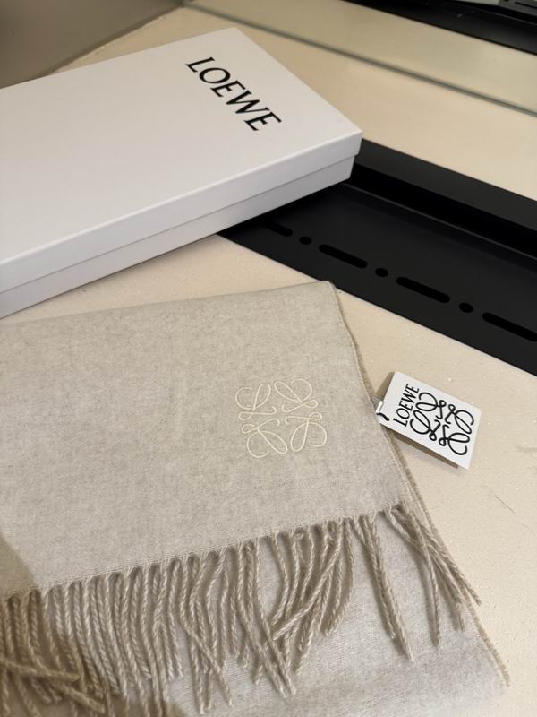 Loewe scarf 30X180cm E13 (13)