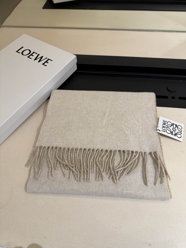 Loewe scarf 30X180cm E13 (14)