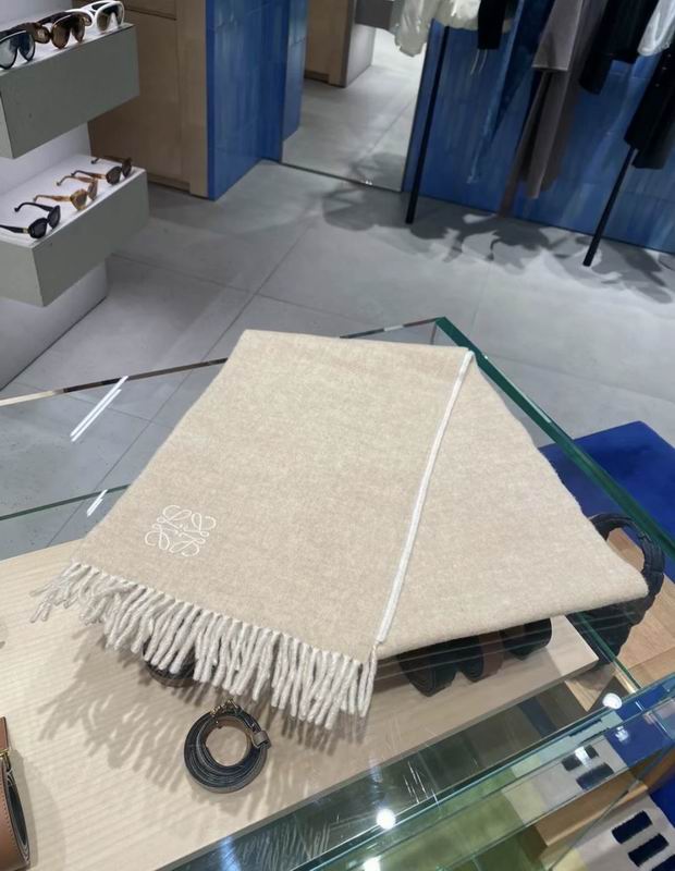 Loewe scarf 30X180cm E13 (15)