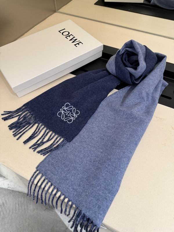 Loewe scarf 30X180cm E13 (19)