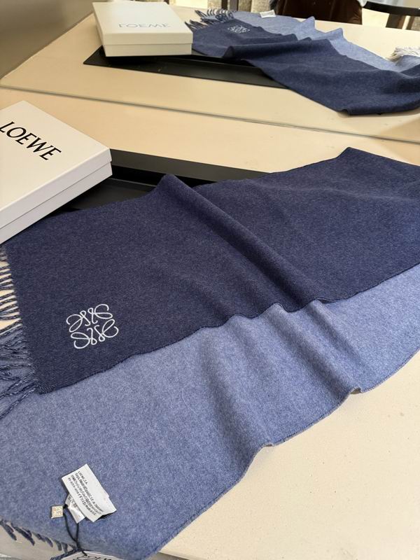 Loewe scarf 30X180cm E13 (21)