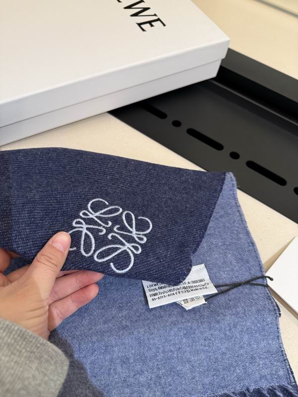 Loewe scarf 30X180cm E13 (22)