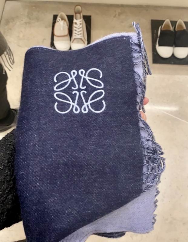 Loewe scarf 30X180cm E13 (23)