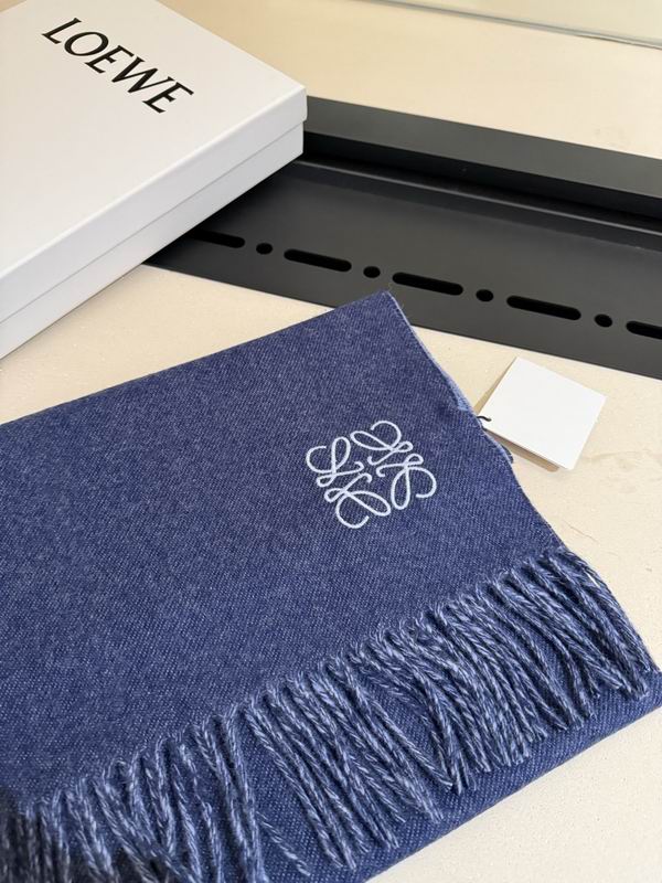 Loewe scarf 30X180cm E13 (24)