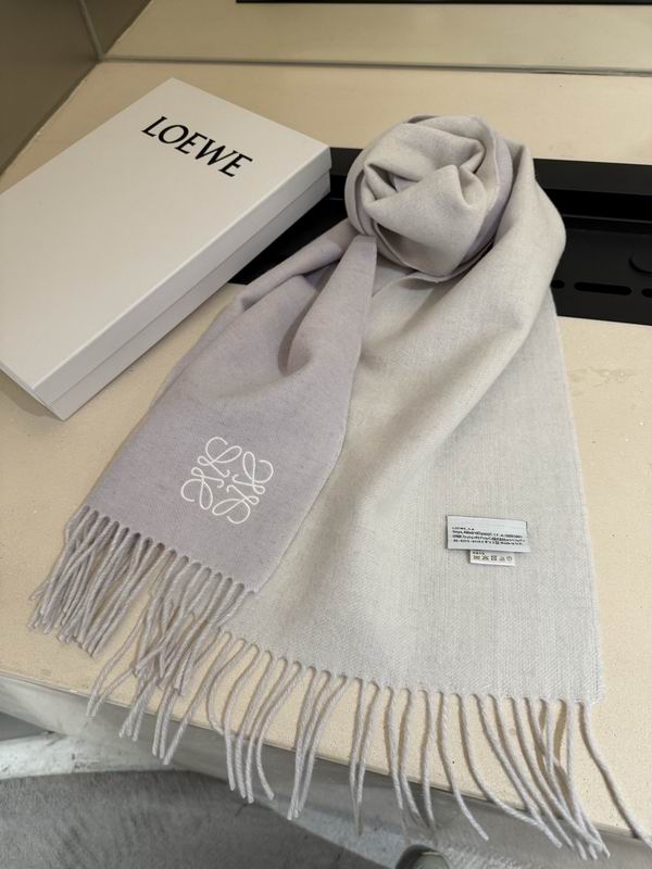 Loewe scarf 30X180cm E13 (28)