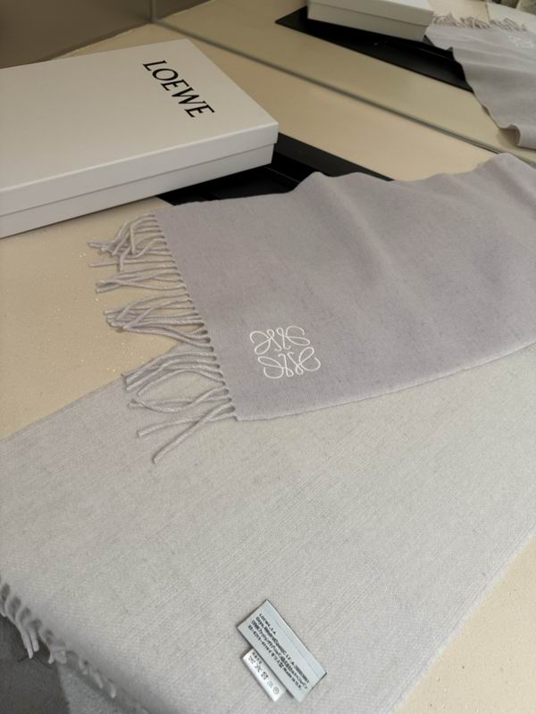 Loewe scarf 30X180cm E13 (29)