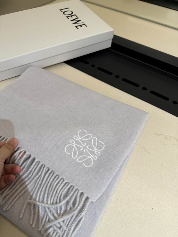 Loewe scarf 30X180cm E13 (32)