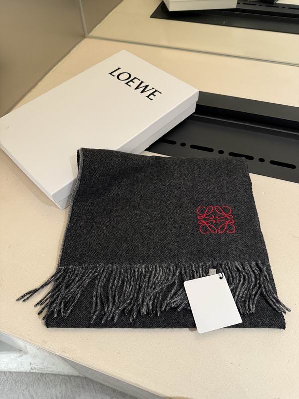Loewe scarf 30X180cm E13 (6)