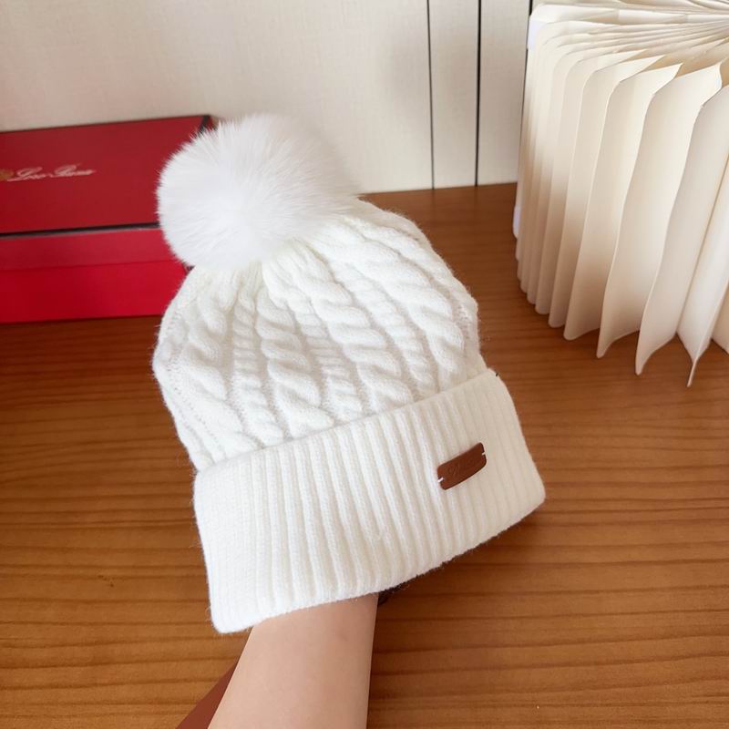 Loro Piana Hat dx (2329)