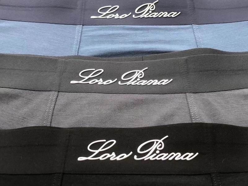 Loro Piana boxer L-4XL 04 (1)