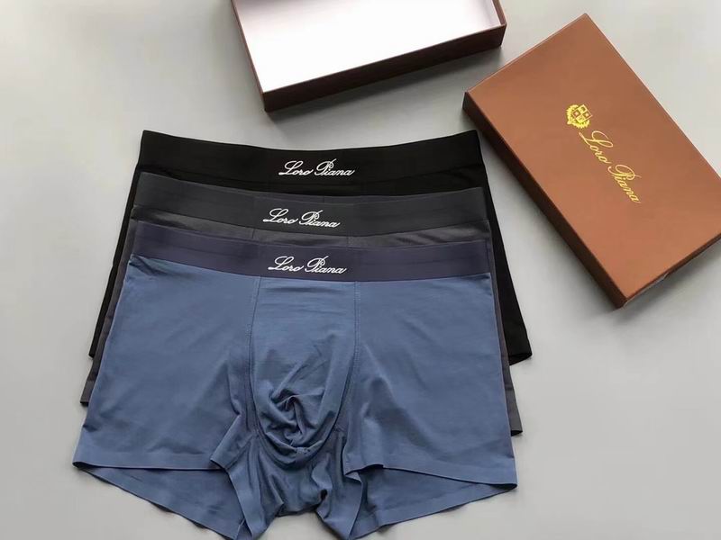 Loro Piana boxer L-4XL 04 (2)