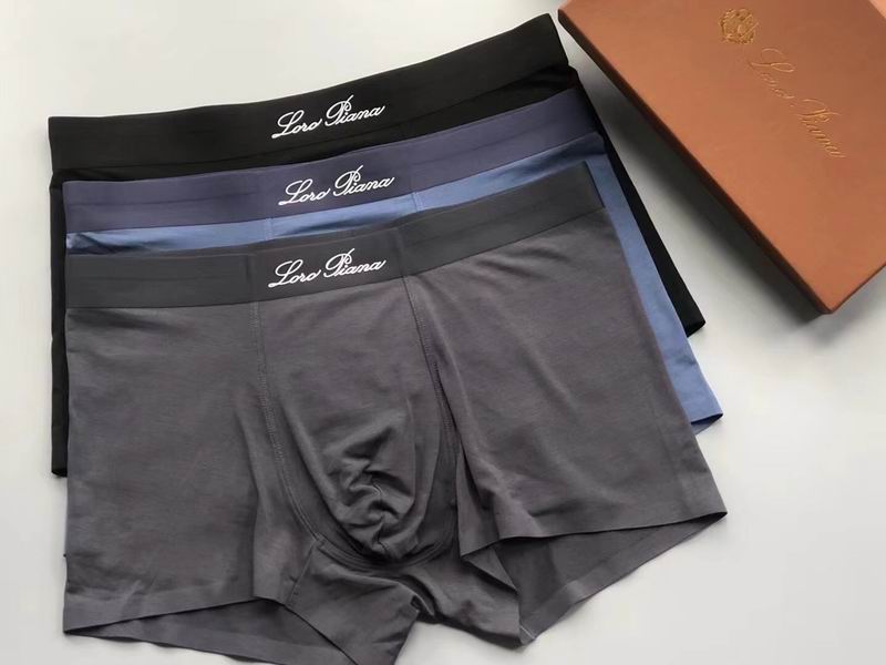 Loro Piana boxer L-4XL 04 (3)