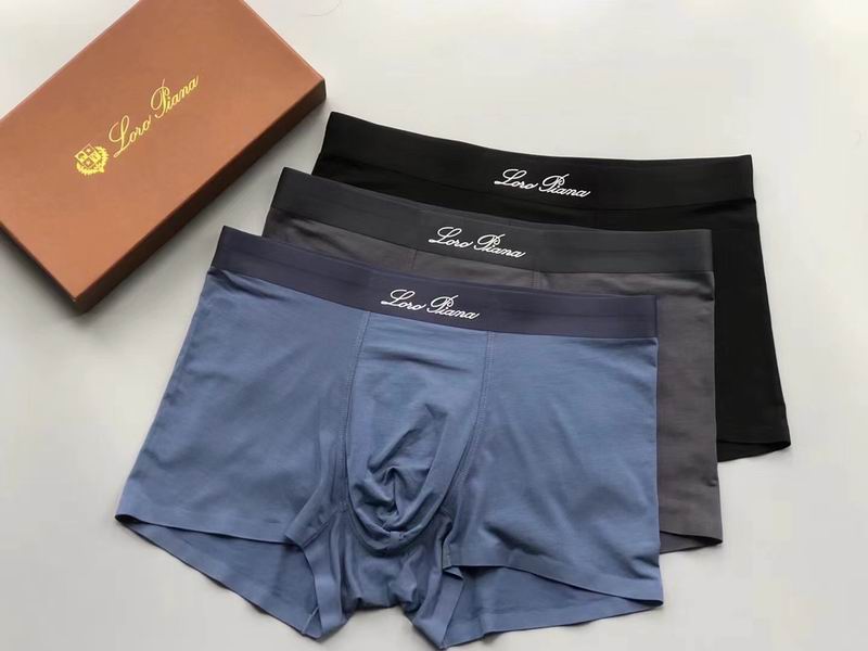 Loro Piana boxer L-4XL 04 (4)