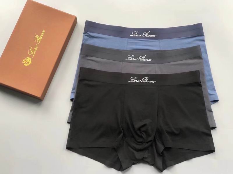 Loro Piana boxer L-4XL 04 (5)