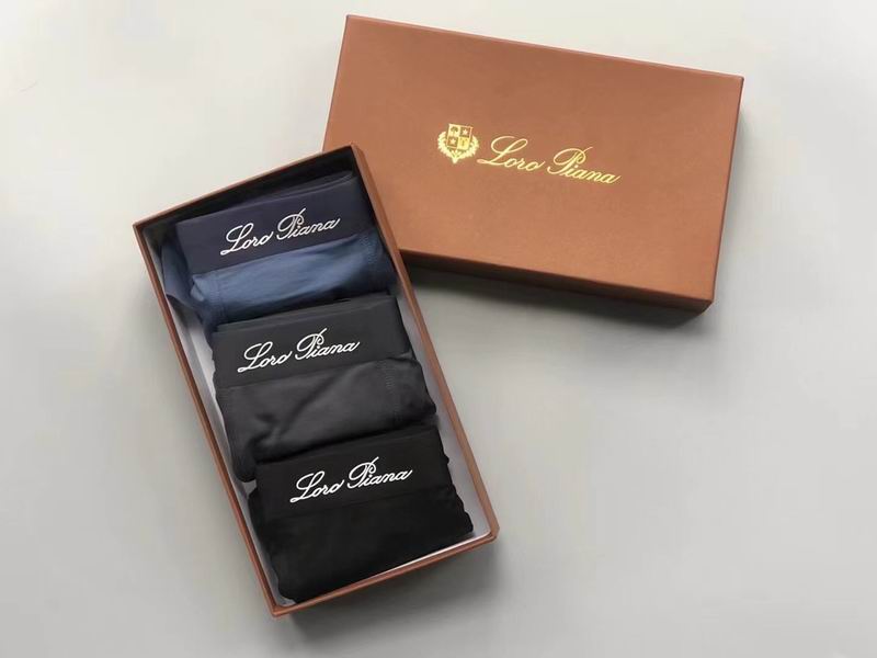 Loro Piana boxer L-4XL 04 (6)
