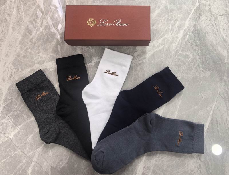 Loro Piana socks (2)