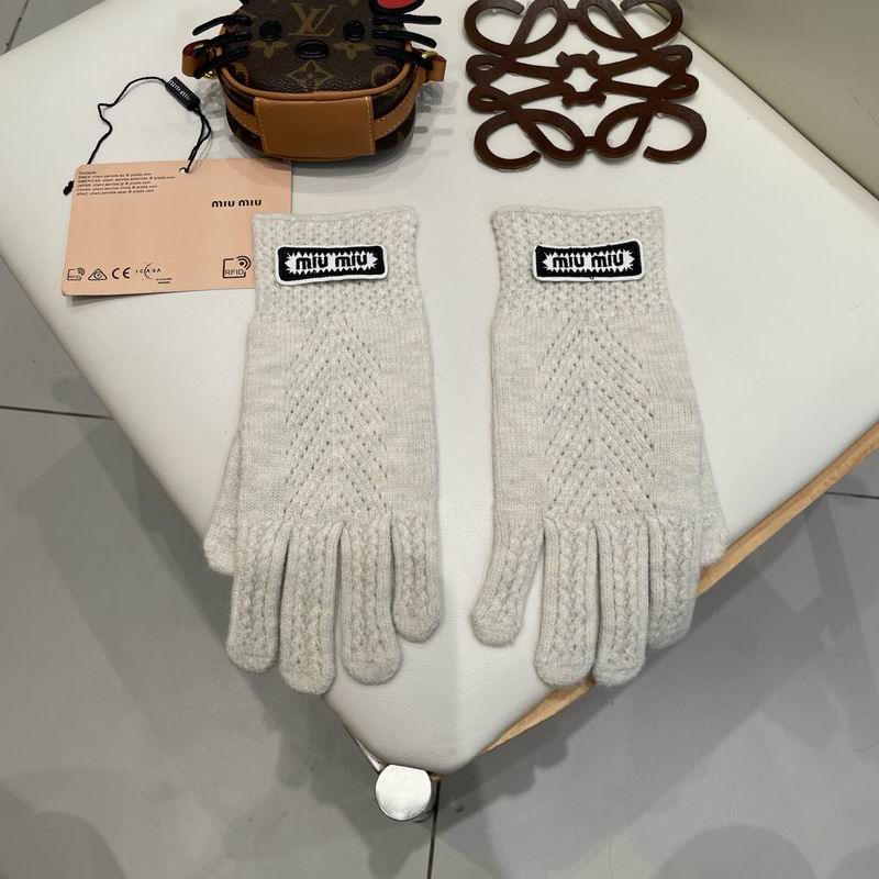 Miumiu gloves 30 (14)