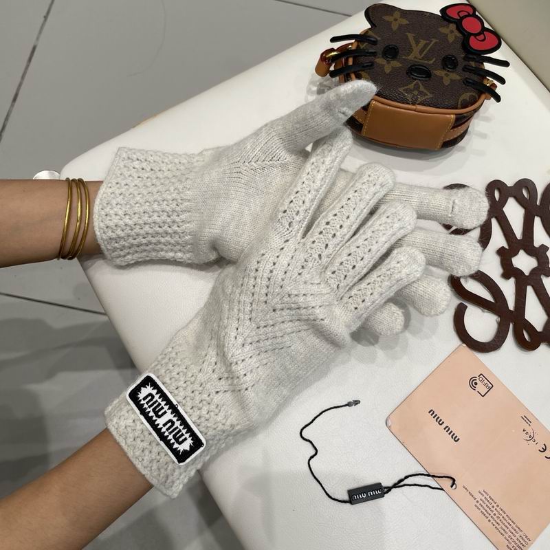 Miumiu gloves 30 (16)