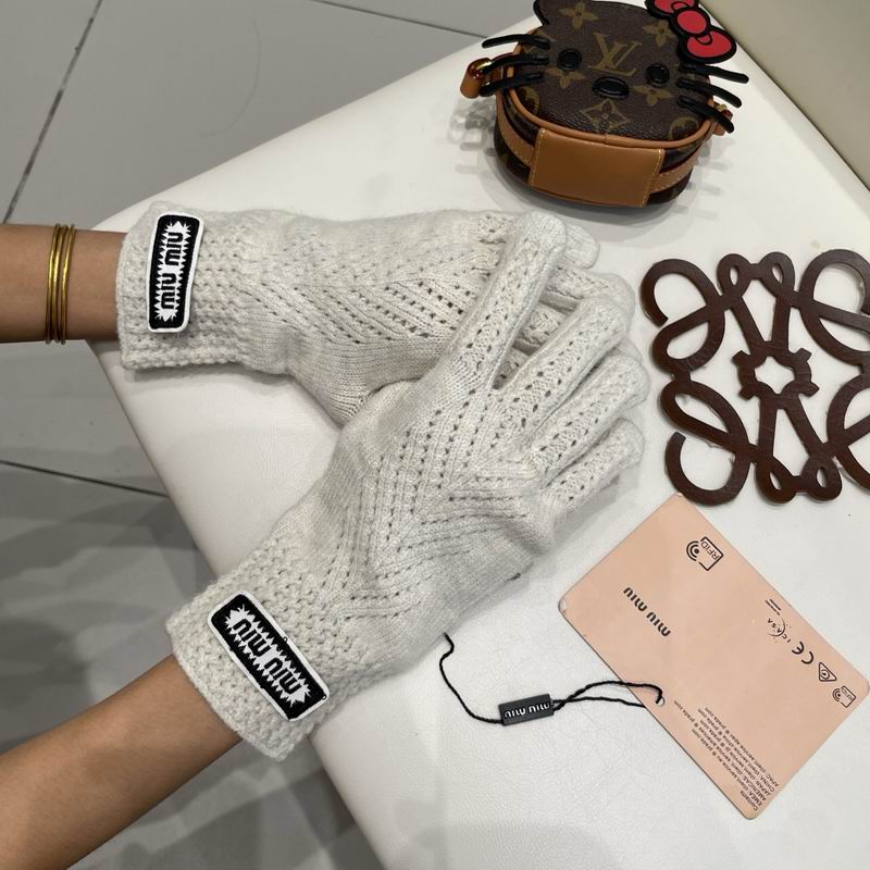 Miumiu gloves 30 (18)