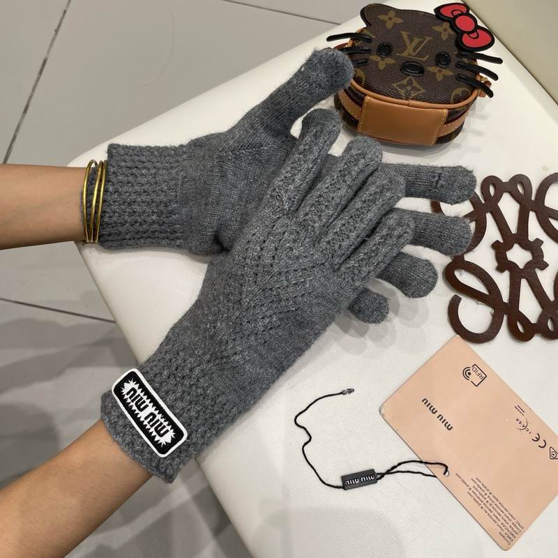 Miumiu gloves 30 (22)
