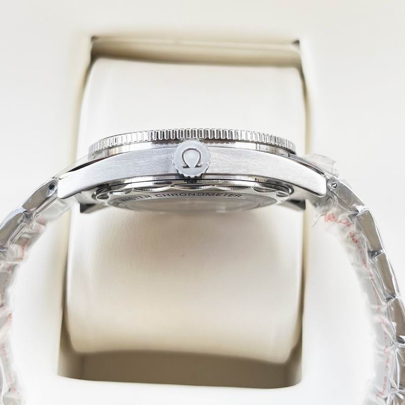 Omega 41mm 07-Aqua Terra (3)