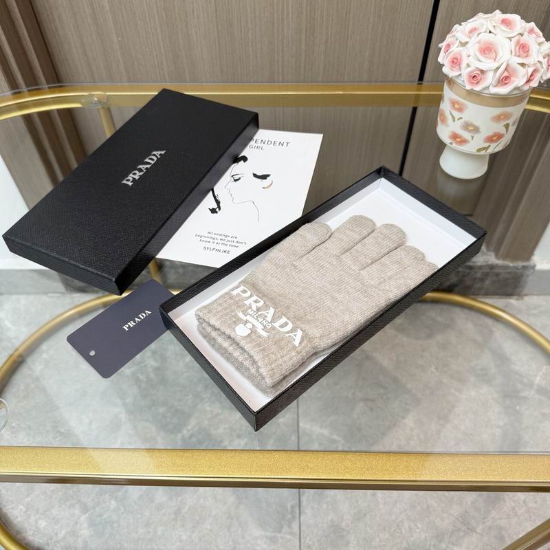 Prada Gloves 22 (18)