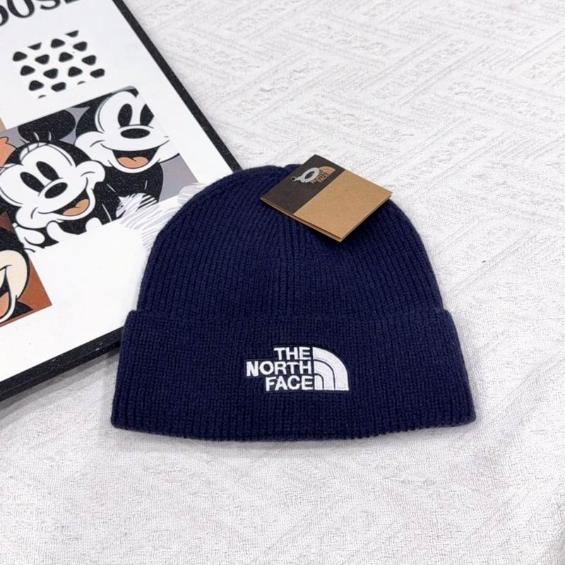 Ther North Face hat (2199)