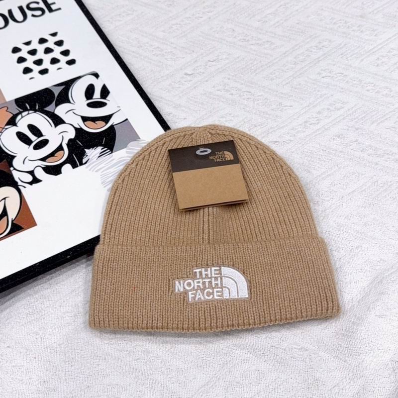 Ther North Face hat (2200)