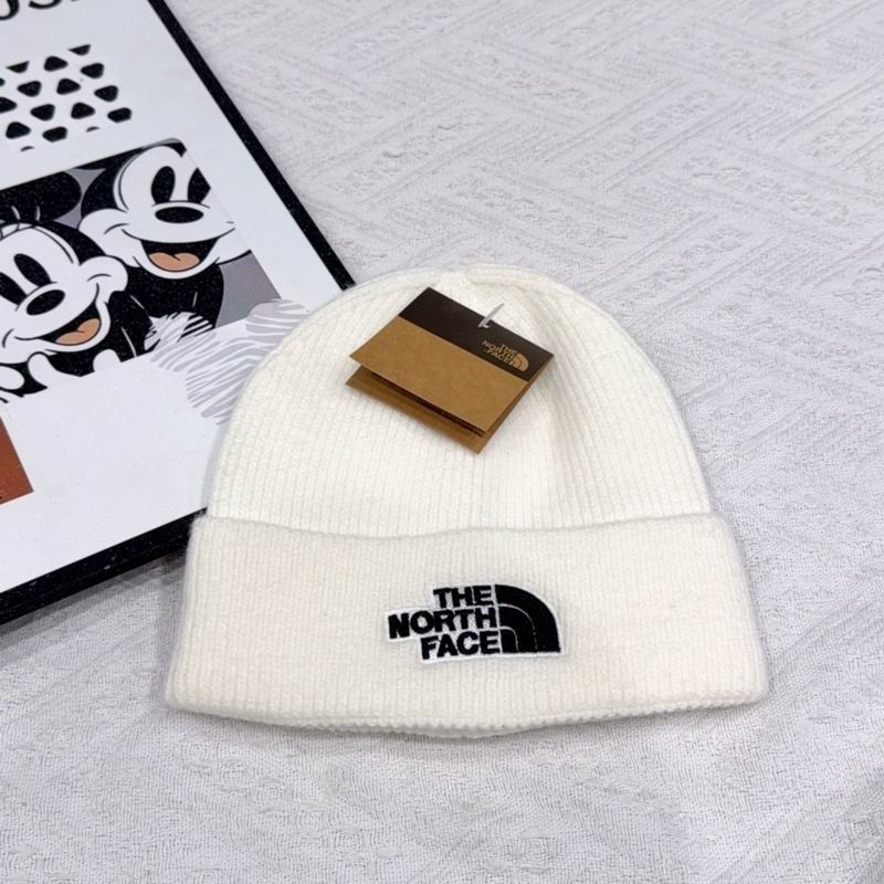 Ther North Face hat (2201)