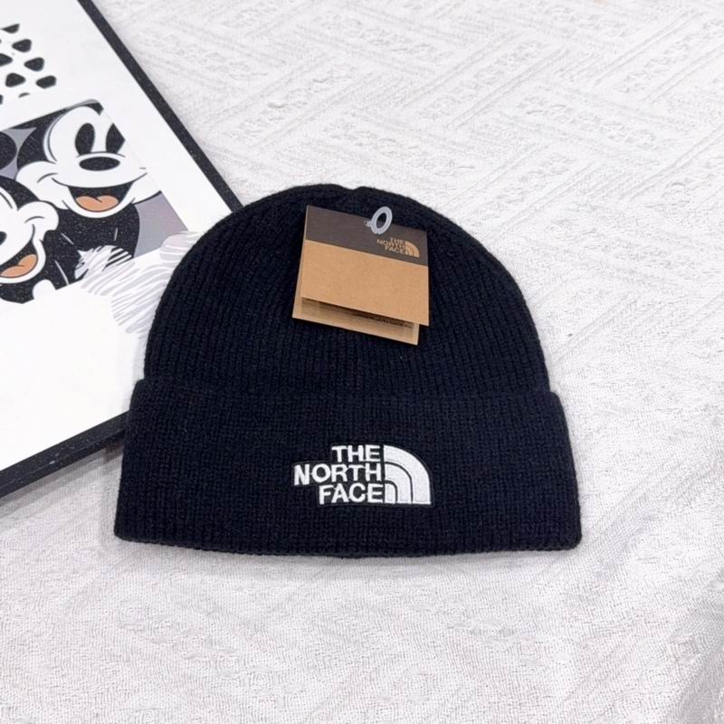 Ther North Face hat (2202)