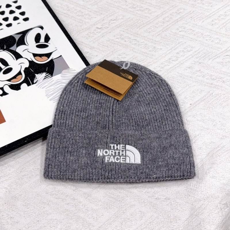 Ther North Face hat (2203)