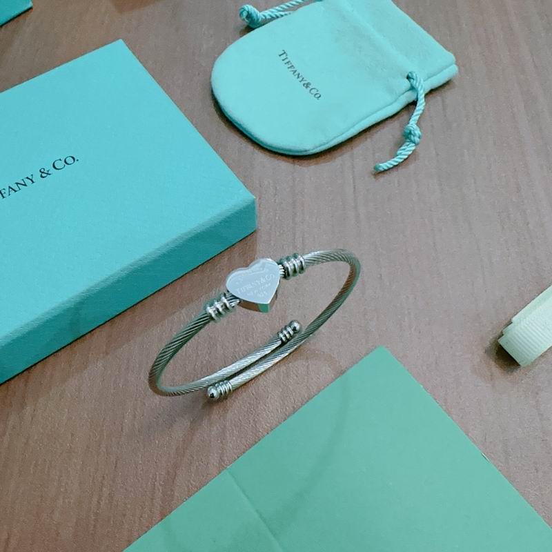 Tiffany bracelet 11yxx250 (2)