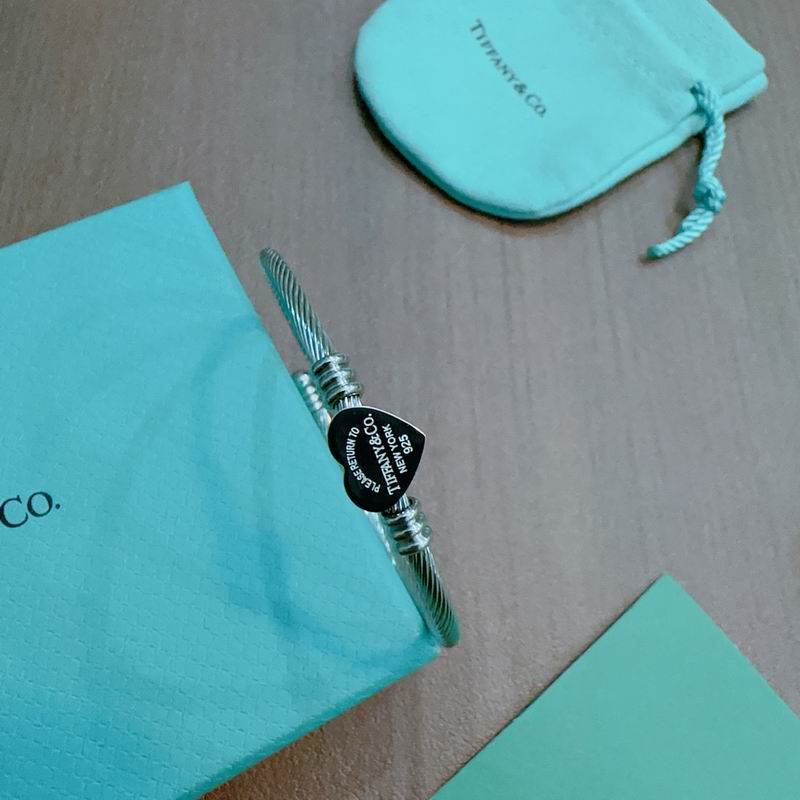 Tiffany bracelet 11yxx250 (4)