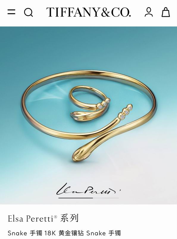 Tiffany bracelet 11yxx282 (3)